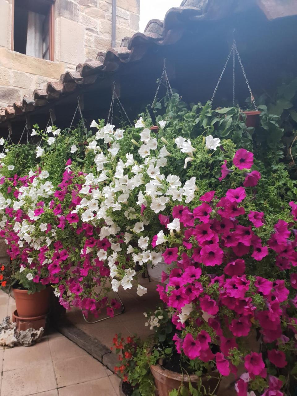 Affittacamere El Cuartelillo Viejo Polientes Esterno foto